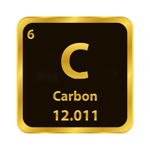 Biochar Carbonio